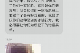 新县为什么选择专业追讨公司来处理您的债务纠纷？